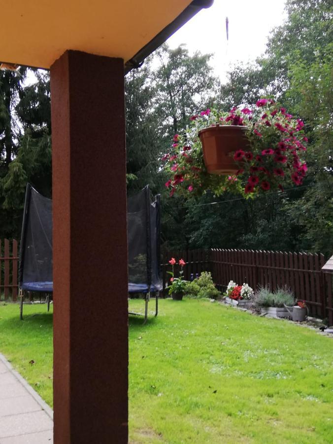 Apartament Nad Szumiacym Potokiem Wilkowice Eksteriør billede