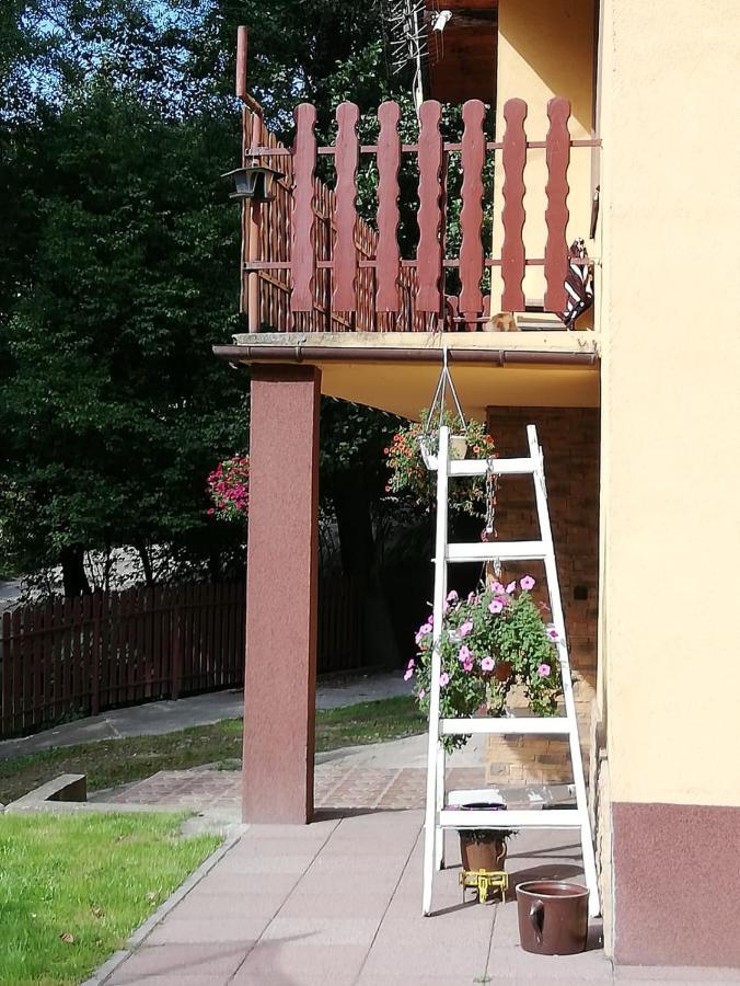 Apartament Nad Szumiacym Potokiem Wilkowice Eksteriør billede